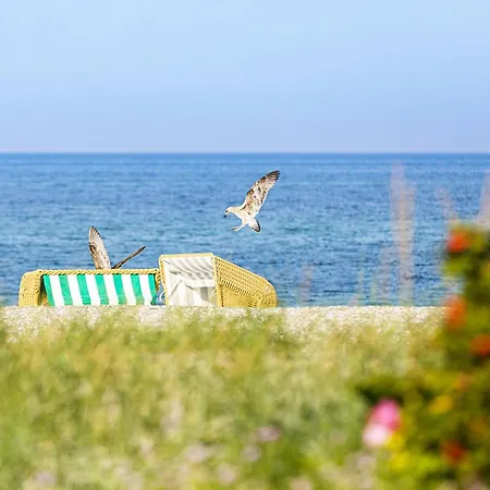 Sommerblume - 5 Sterne Mit Blick Ueber Duenen Zur Ostsee * Wustrow (Fischland)